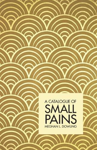 Cover image for A Catalogue of Small Pains