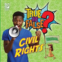 Cover image for True or False? Civil Rights