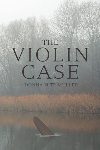 Cover image for The Violin Case