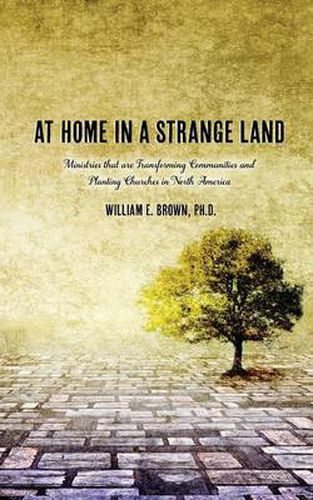 Cover image for At Home in a Strange Land