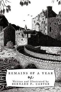 Cover image for Remains of a Year