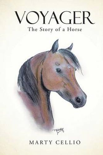 Cover image for Voyager: The Story of a Horse