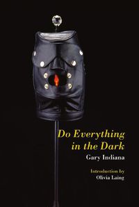 Cover image for Do Everything in the Dark