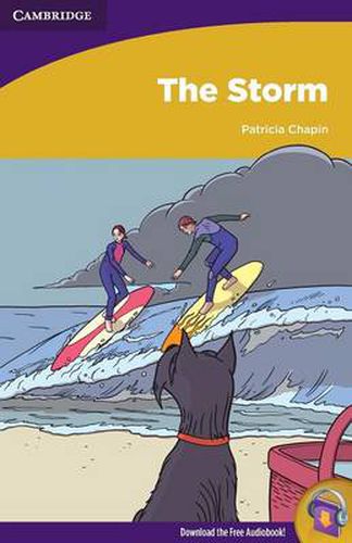 Cover image for The Storm