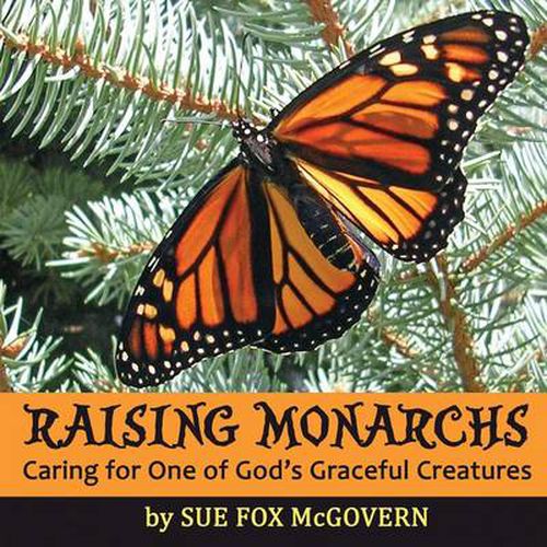 Cover image for Raising Monarchs: Caring for One of God's Graceful Creatures