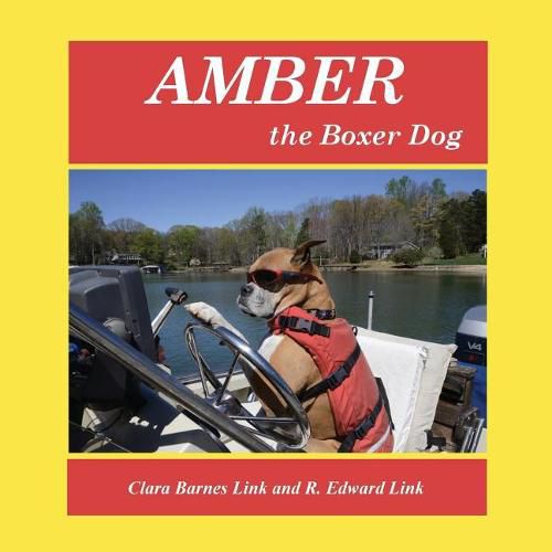 Cover image for Amber the Boxer Dog