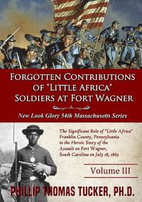 Cover image for Forgotten Contributions of "Little Africa" Soldiers at Fort Wagner