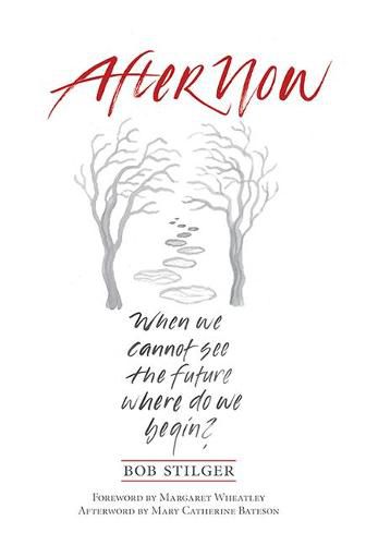 Cover image for Afternow: When We Cannot See the Future. Where Do We Begin?