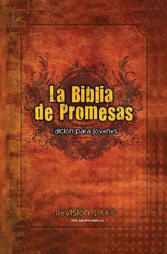 Cover image for Santa Biblia de Promesas Reina Valera 1960 Para Hombres Jovenes / Spanish Promise Bible Rvr 1960 for Young Men, Hardback