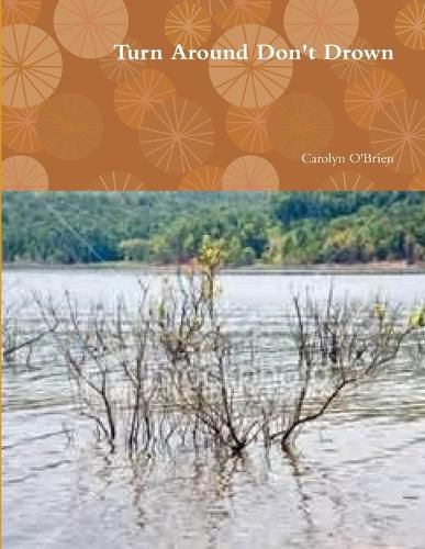 Cover image for Turn Around Don't Drown