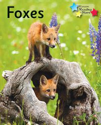 Cover image for Foxes