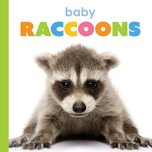 Cover image for Baby Raccoons