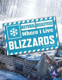 Cover image for Blizzards