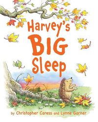 Cover image for Harvey's BIG Sleep