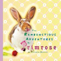 Cover image for The Rambunctious Life Of Primrose