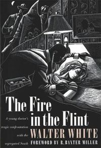 Cover image for The Fire in the Flint