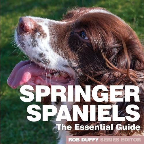 Cover image for Springer Spaniels: The Essential Guide