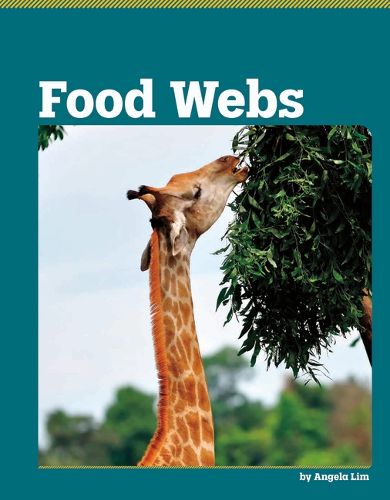 Cover image for Food Webs