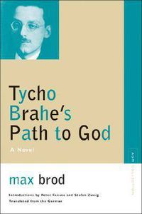 Cover image for Tycho Brahe's Path to God: A Novel