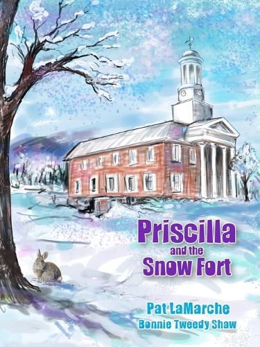 Cover image for Priscilla and the Snow Fort