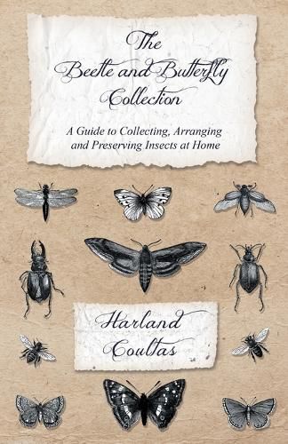 Cover image for The Beetle and Butterfly Collection - A Guide to Collecting, Arranging and Preserving Insects at Home