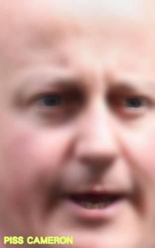 Cover image for Piss Cameron