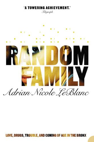 Cover image for Random Family: Love, Drugs, Trouble and Coming of Age in the Bronx