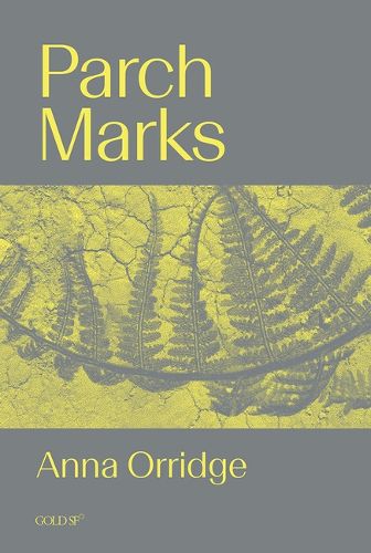 Cover image for Parch Marks
