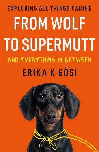 Cover image for From Wolf to Supermutt and Everything In Between: Exploring All Things Canine