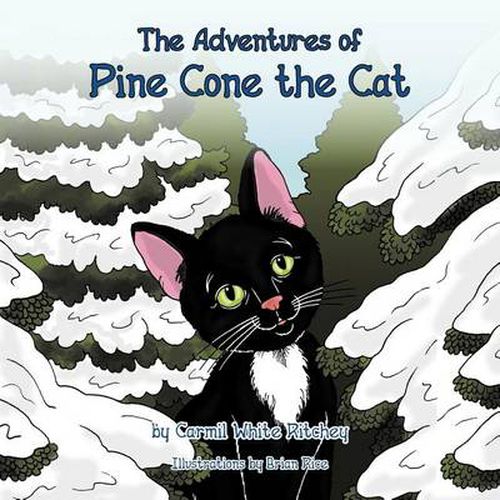 Cover image for The Adventures of Pine Cone the Cat