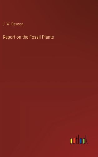 Cover image for Report on the Fossil Plants