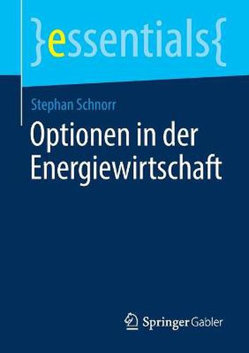 Cover image for Optionen in der Energiewirtschaft