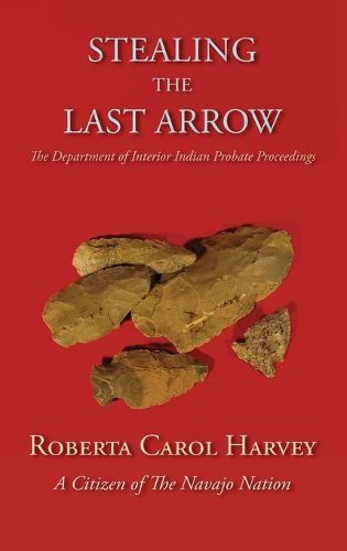 Cover image for Stealing the Last Arrow