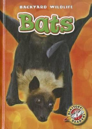 Cover image for Bats