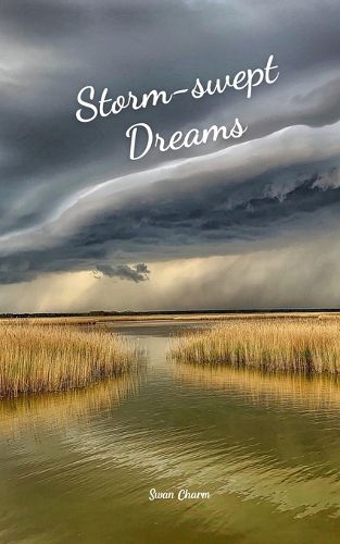Cover image for Storm-swept Dreams