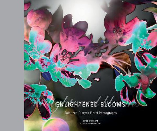 Cover image for Enlightened Blooms: Solarized Diptych Floral Photographs