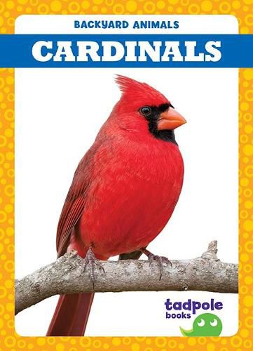 Cardinals