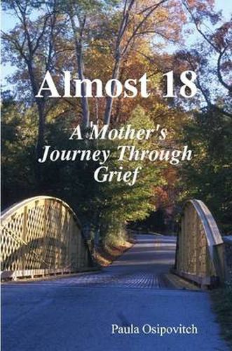 Almost 18 " A Mother's Journey Through Grief "