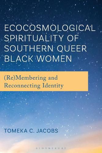 Cover image for Ecocosmological Spirituality of Southern Queer Black Women
