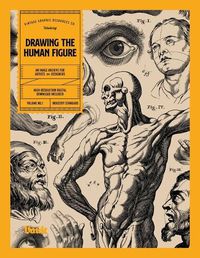 Cover image for Drawing the Human Figure