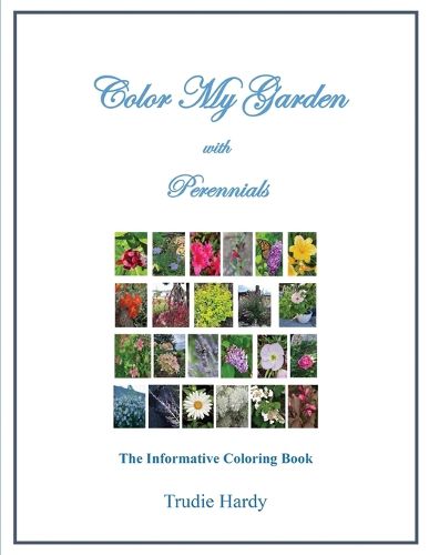 Color My Garden with Perennials