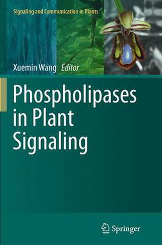 Cover image for Phospholipases in Plant Signaling