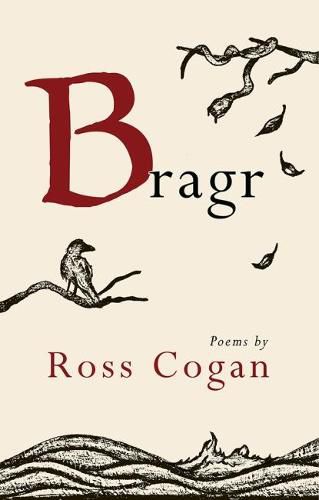 Cover image for Bragr