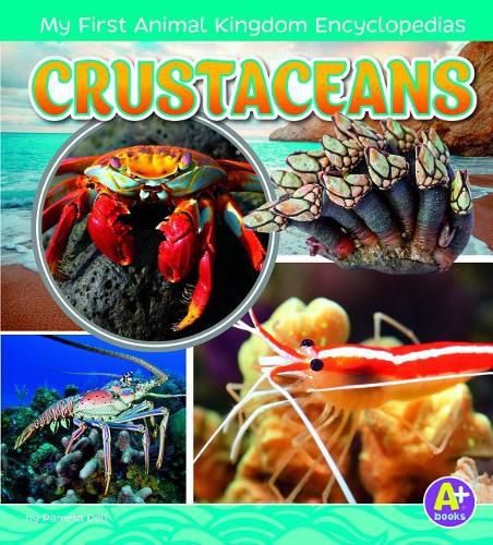 Crustaceans (My First Animal Kingdom Encyclopedias)