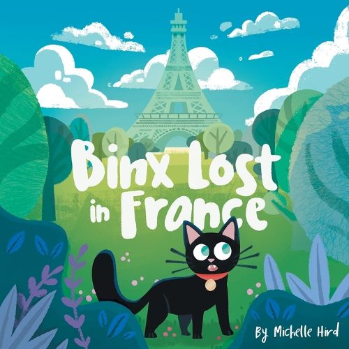 Cover image for Binx Lost in France