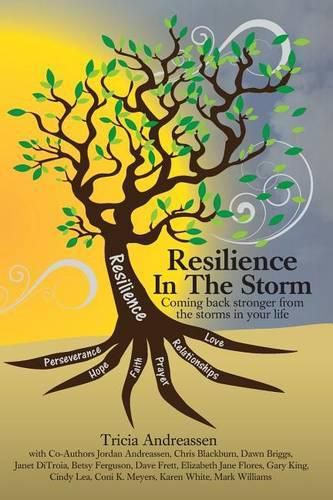 Cover image for Resilience In The Storm: Coming Back Stronger From The Storms In Your Life