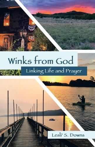 Cover image for Winks from God: Linking Life and Prayer