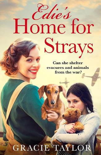 Cover image for Edie's Home for Strays