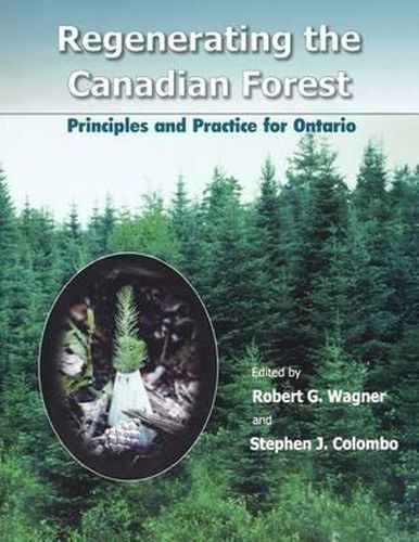 Cover image for Regenerating the Canadian Forest: Principles and Practice for Ontario