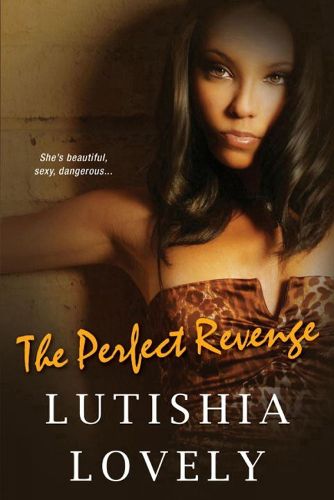 Cover image for The Perfect Revenge: The Shady Sisters Trilogy